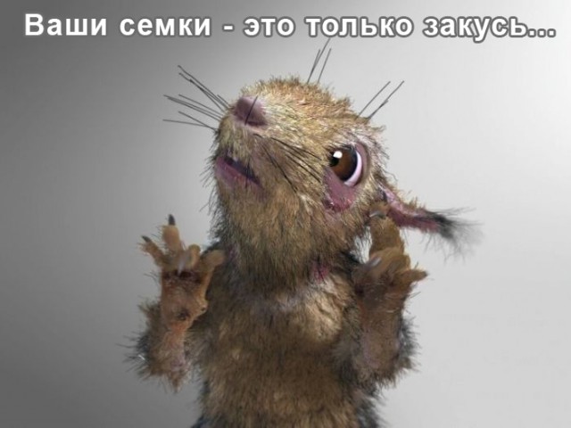 Семки есть. Подходите, угощайтесь!