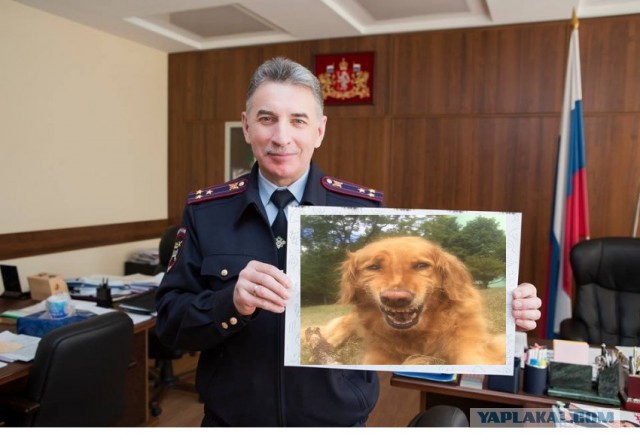 Полицию возмутили фотожабы на главного гаишника Юрия Дёмина