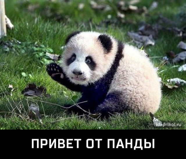 Мужчины объяснили, почему не уступают место женщинам.