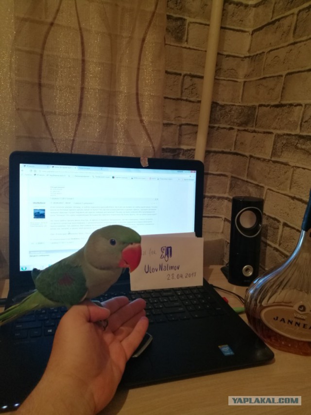 Кубы. Да здравствует пятница!
