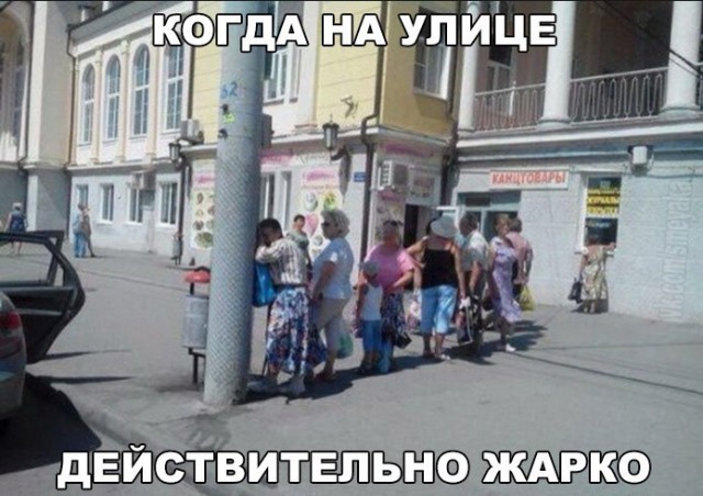 Картинки из сети
