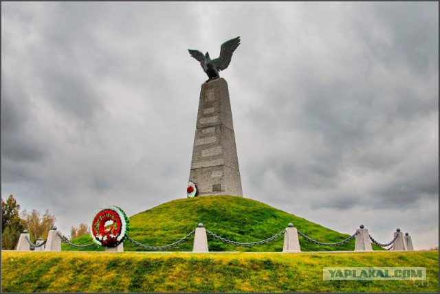 О венграх, которых под Воронежем не брали в плен.