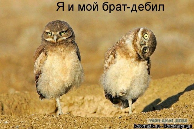 Чуть не вляпался