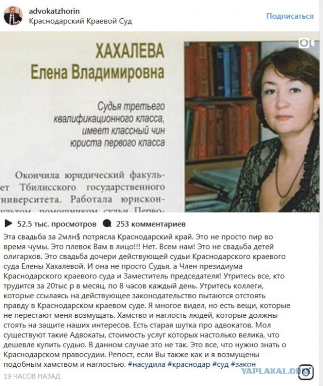 Судья Краснодарского краевого суда Елена Хахалева заявила, что у нее есть диплом о высшем юридическом образовании