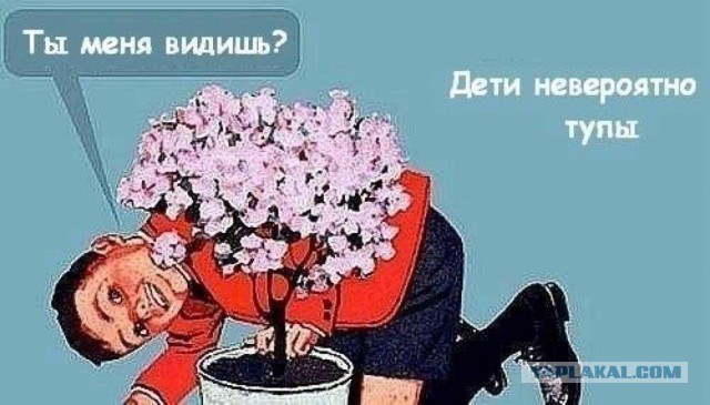 Уроки от мастеров игры в прятки.