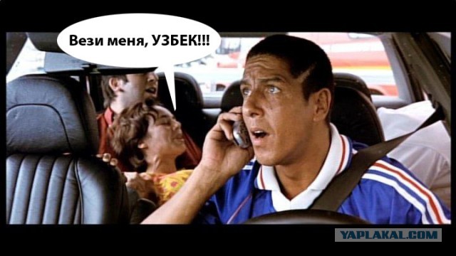 Не садись на пенёк!