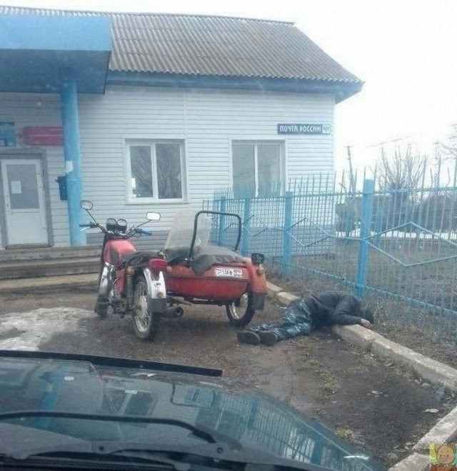 Скотсети и прочие интернеты 20.03.20