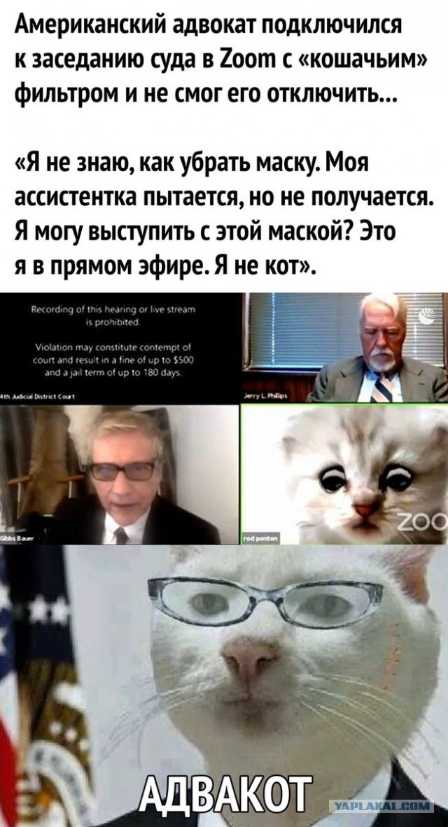 Бредзона 21.02.21