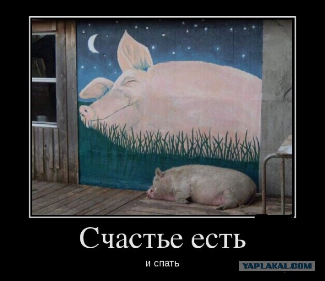 Баянисто-небаянистый юмор 15.05.21
