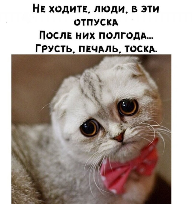 Баянисто-небаянистый юмор 12.07.21