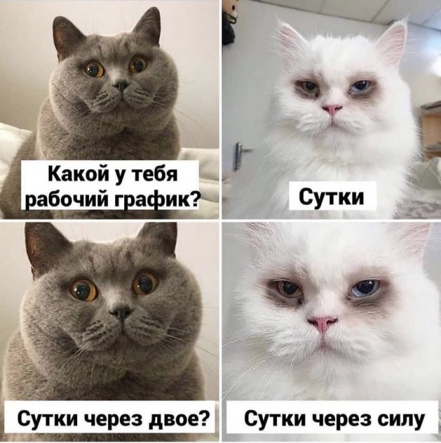 Картинки и мемы для настроения 26.07.2021