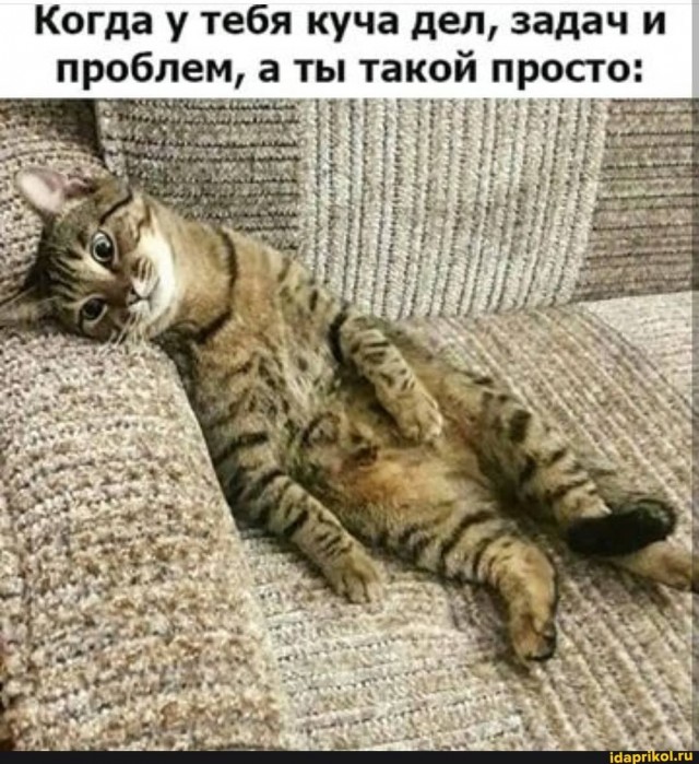 Баянисто-небаянистый юмор 15.08.21