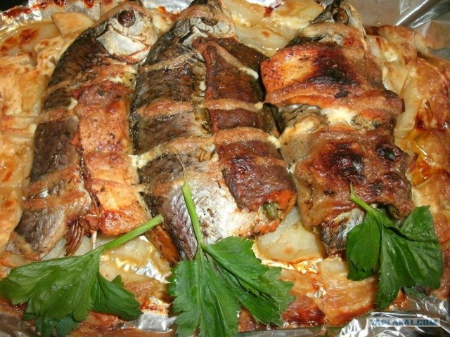 Пятничные посиделки на теплотрассе ©