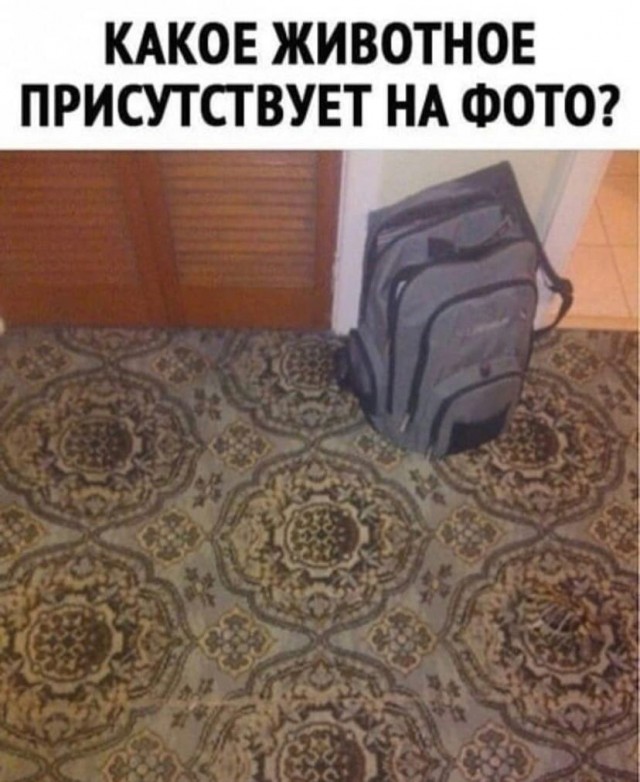 Так себе картинки 20.11.21