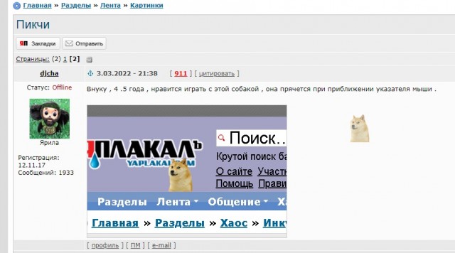 Пикчи