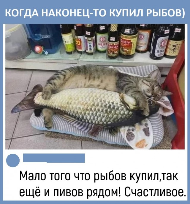 Так себе картинки 03.05.22