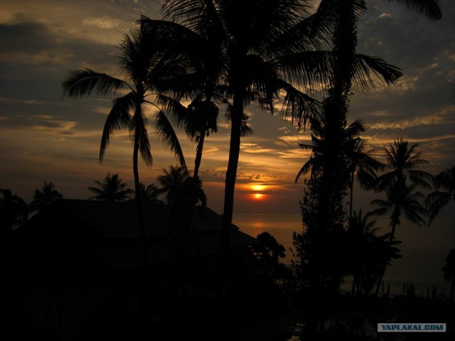 Такой разный остров Самуи