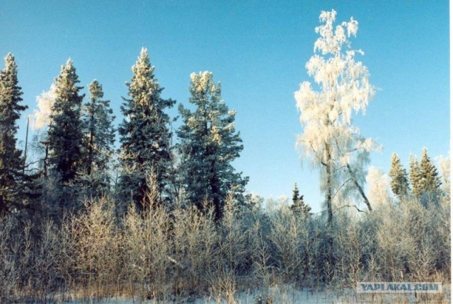 Ямал. Два времени года