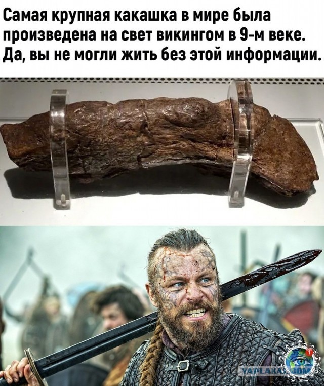 А теперь к важным новостям (про гавно)