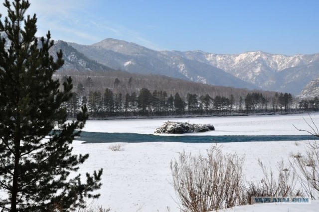 Чуток свежего воздуха