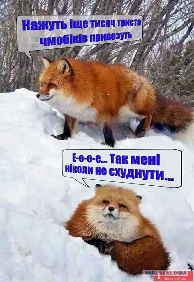 Армия России начала наступление на Донбассе