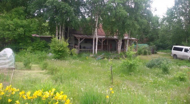 Редкие кадры и архивные снимки 05.07.23
