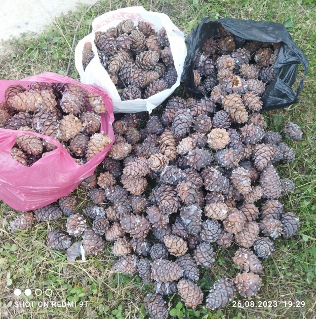 Престарелым камрадам, которым за 50+ посвящается
