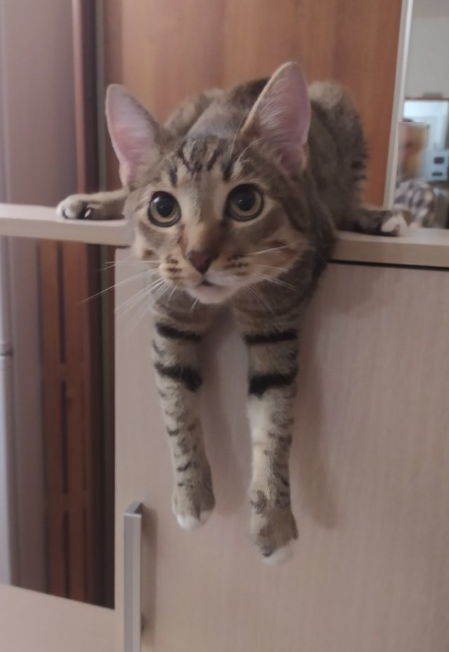 Большая потеря