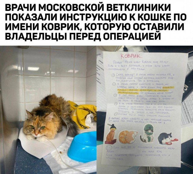 Так себе картинки 22.08.24