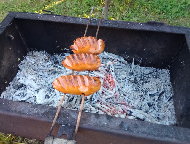 Огонь и мясо