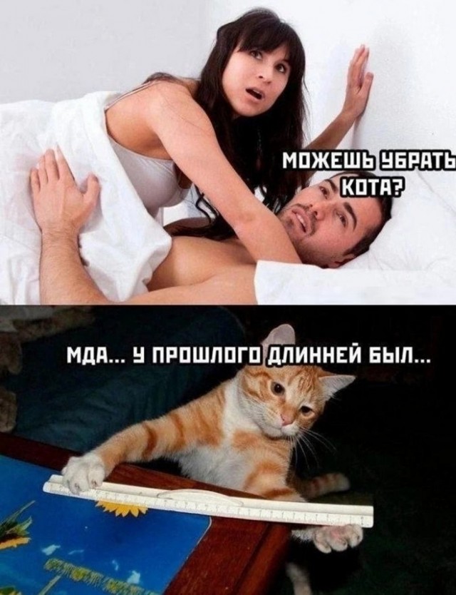 Нуштош 31.10.2024