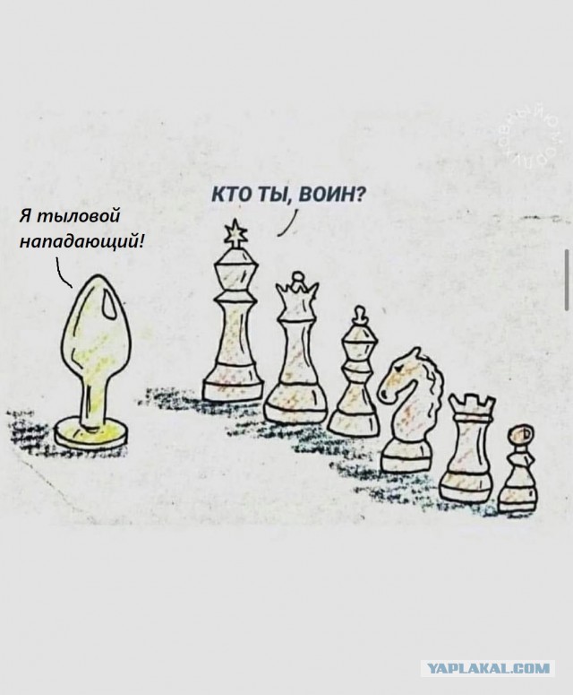 Нуштош 05.11.2024