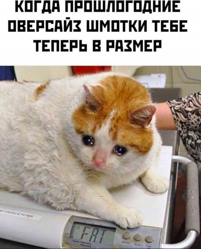 Быстрая деградация
