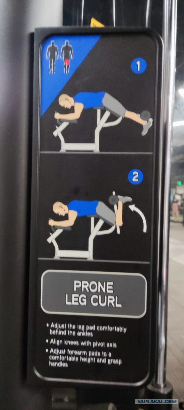 Спортзал, есть ли смысл туда ходить.