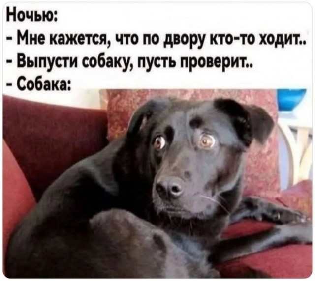 Завалялось тут случайно немного забавных картинок