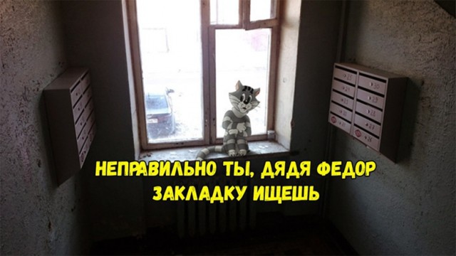 В Петербурге муниципал искал «закладки»