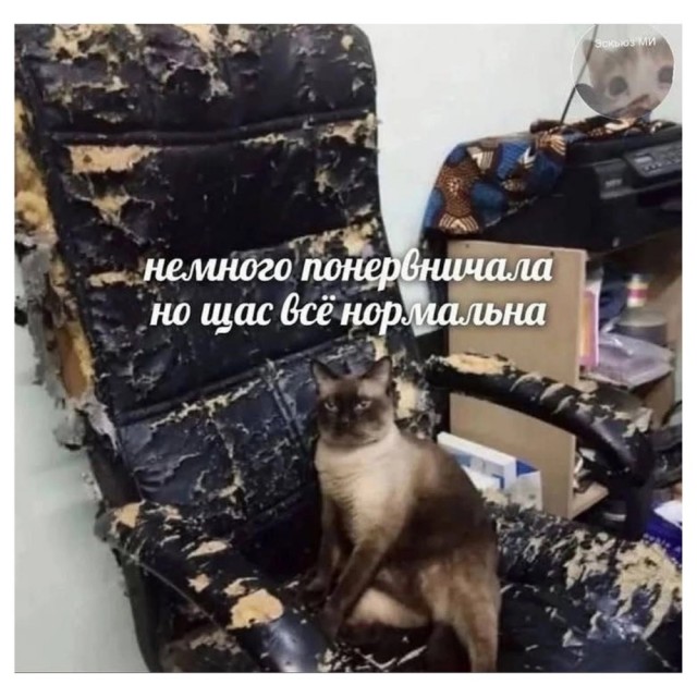 Веселое настроение в картинках (12.07.2025)