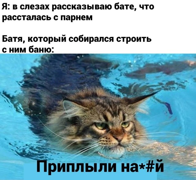 Так себе картинки 19.08.25