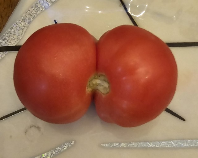 Привет из Узбекистана Беларуси