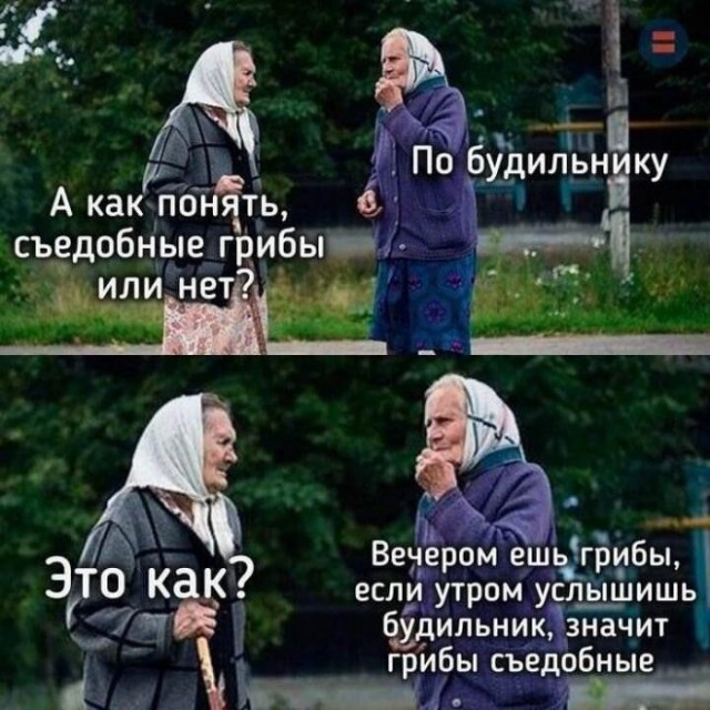 Картинки для деградации 65 (разной степени свежести)