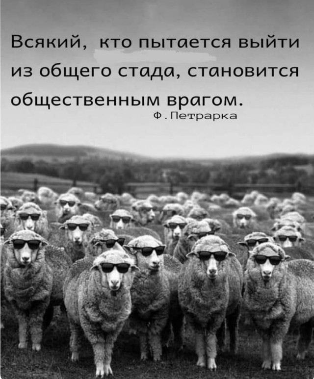 Воскресные картинки