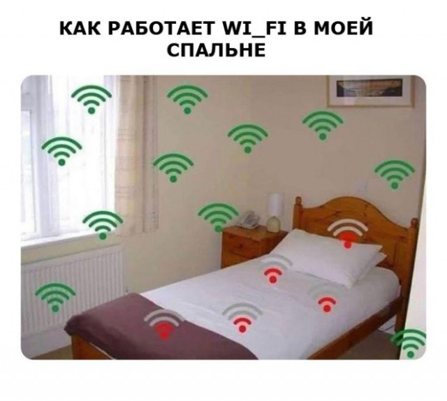 Картиночки, баянчики 16 декабря