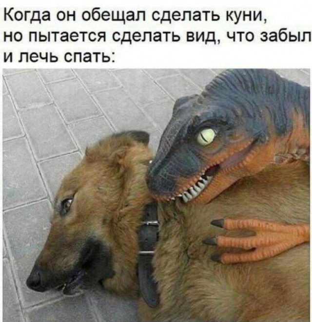 Пошло-баянистая деградация