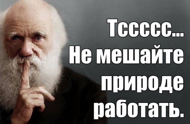 Обезьяний процесс