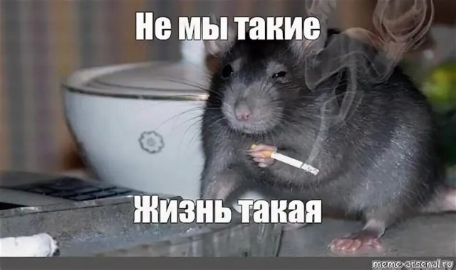 Заметил, что у многих завсегдатаев на ЯПе начинает свистеть под крышей