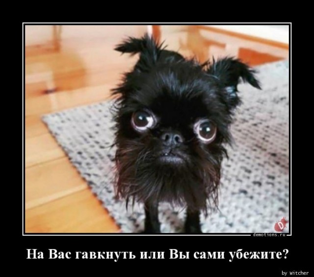 Картинки для деградации 208 (разной степени свежести)