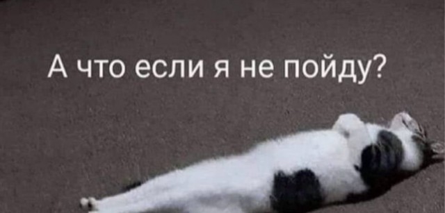 Веселое настроение в картинках 01.08.26