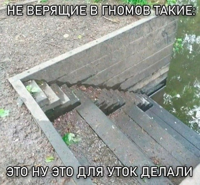 Так себе картинки 25.09.26