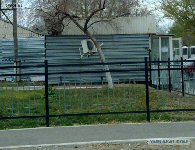 Это для скейтеров?