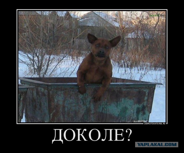 И Питер не спит
